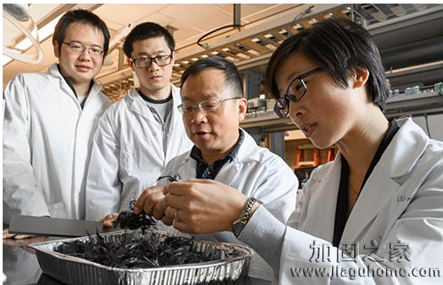 碳纖維加固行業(yè)新發(fā)展，華盛頓大學(xué)實現(xiàn)碳纖維復(fù)合材料的再循環(huán)！