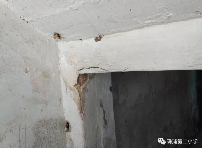 珠浦第二小學(xué)鑒定過(guò)程照片
