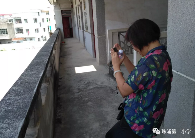 珠浦第二小學(xué)鑒定過(guò)程照片