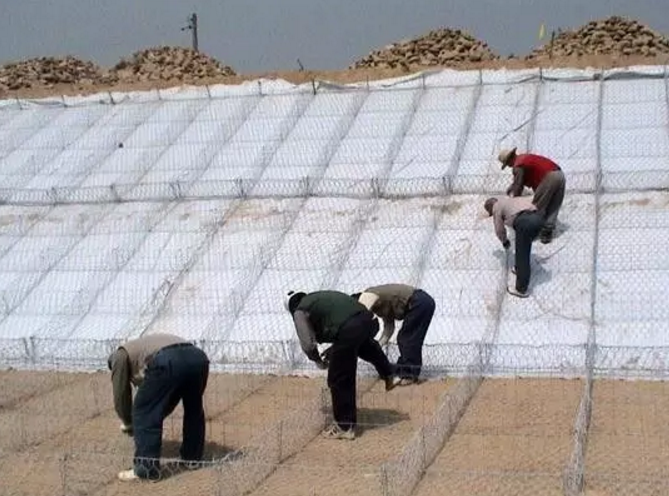 1528725575148409.jpg 1527495927(1).jpg