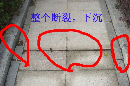 1532672297111826.jpg 6.jpg