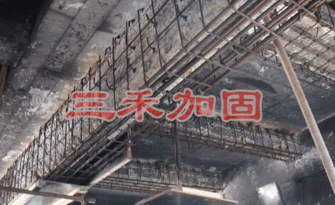 1535159307638138.png 三禾.png