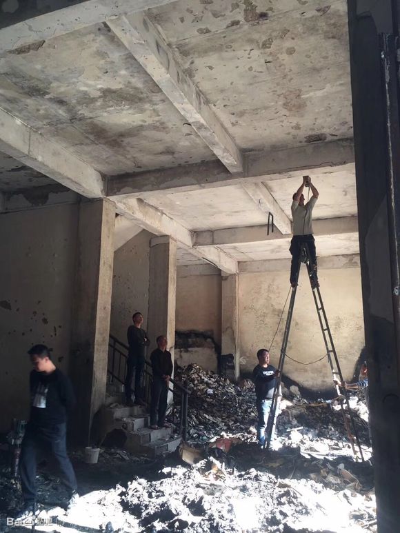 1536114662748397.jpg 1ad5ad6eddc451da69bcddc5bafd5266d0163252.jpg