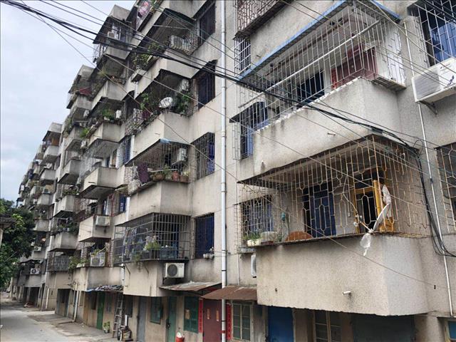 1536377780890390.jpg 91458783036272380.jpg