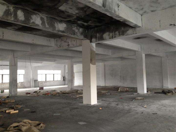 1537612374557603.jpg timg (76).jpg