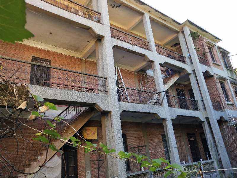 1537966862643174.jpg 310493358392522713.jpg