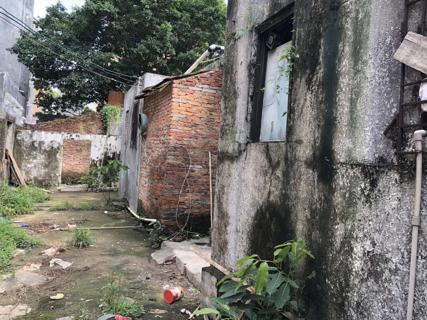 1538104019531599.jpg 186039225560397827.jpg