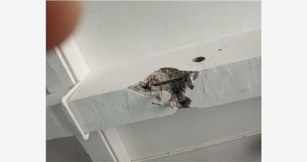 1539829594148775.jpg IMG_20180915_145214.jpg