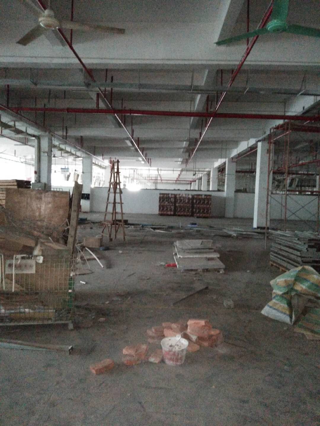 1540270745203320.jpg 264788794943098048.jpg