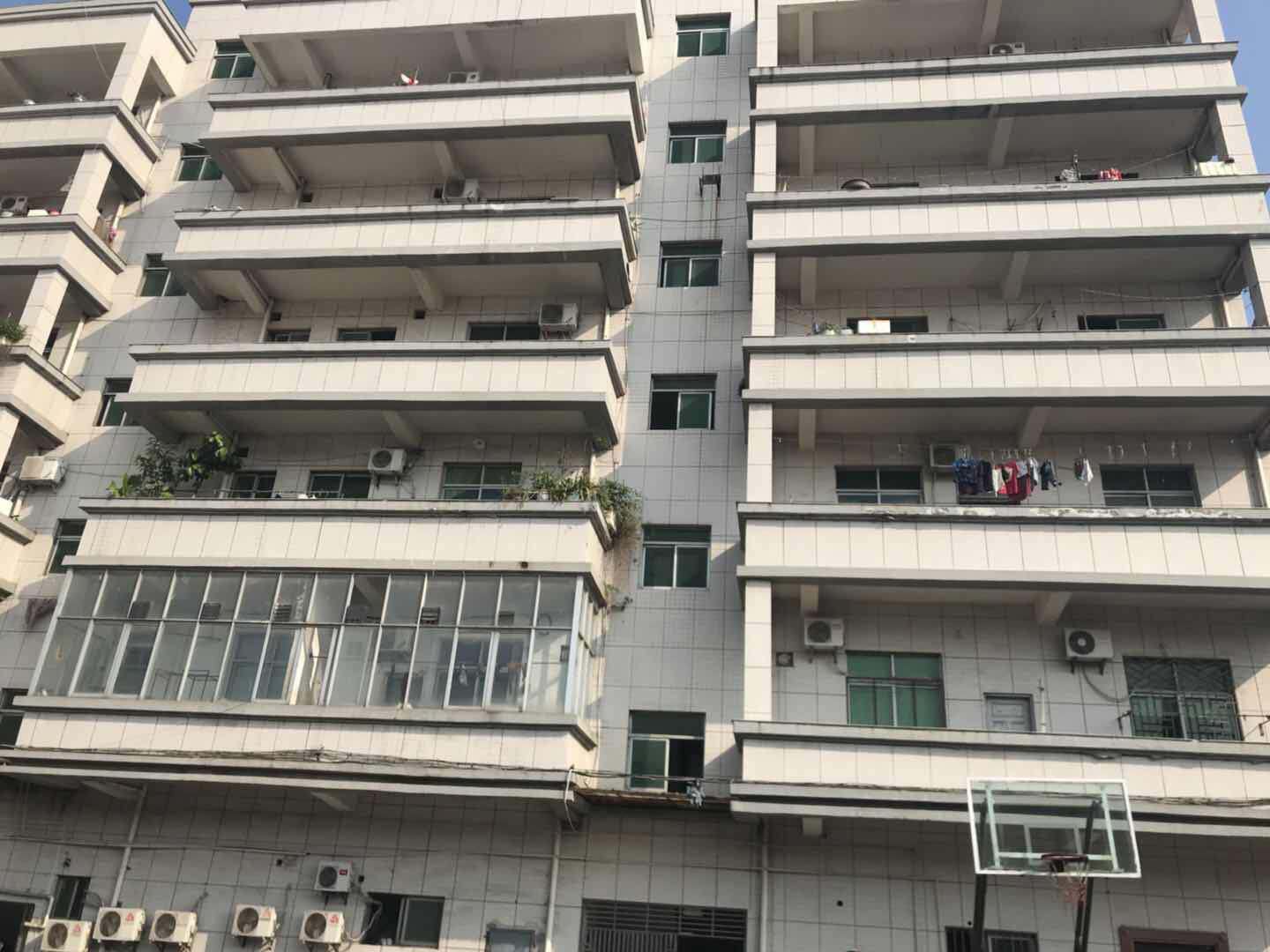 1540905739794511.jpg 604540525432519733.jpg