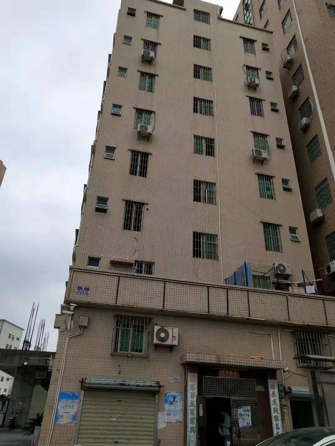 1540905751368472.jpg 153737426345400259.jpg