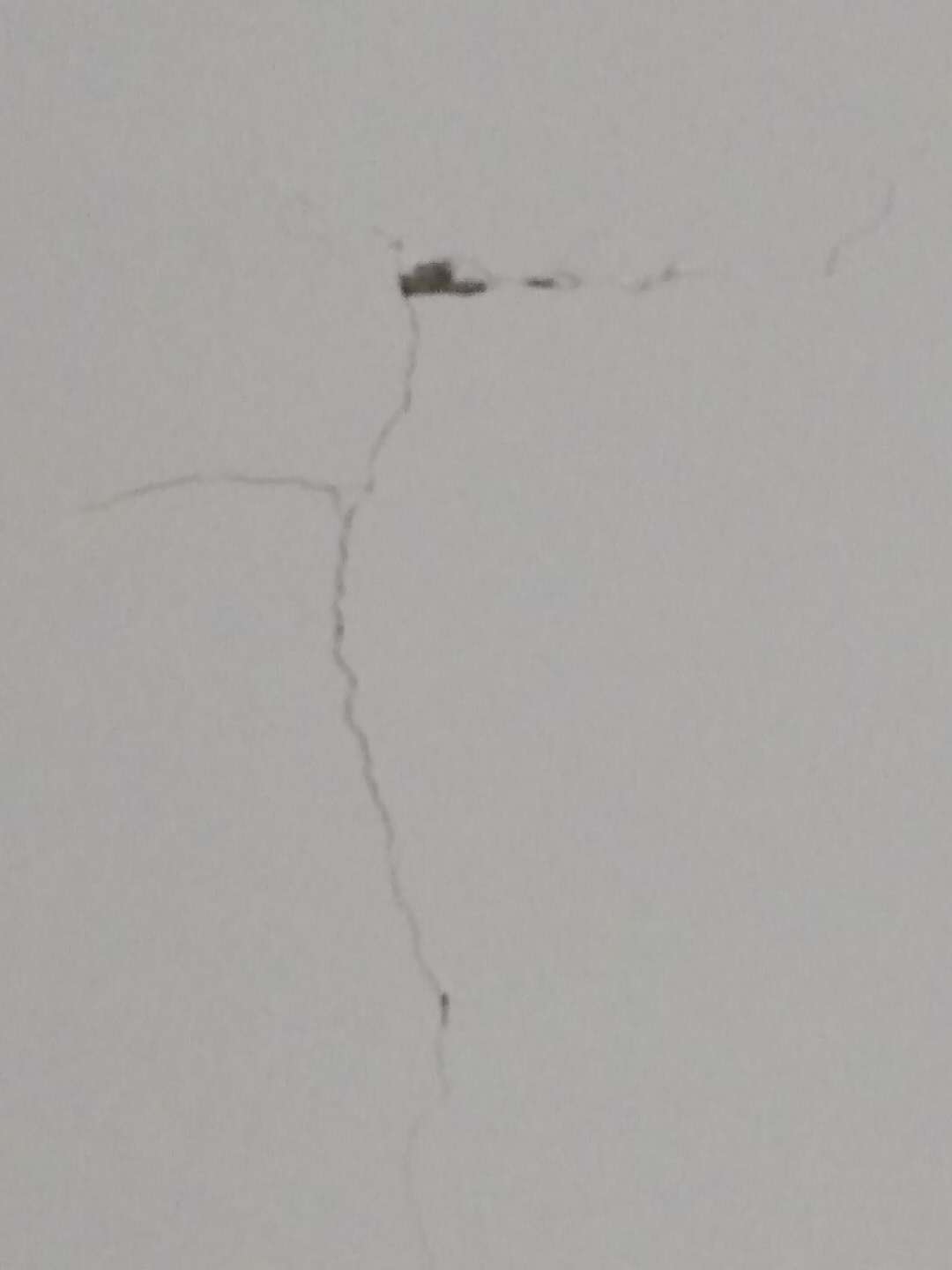 1540989237145798.jpg 485988625504346018.jpg