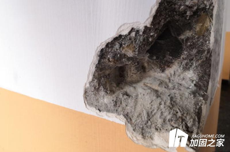 房屋安全性鑒定人員