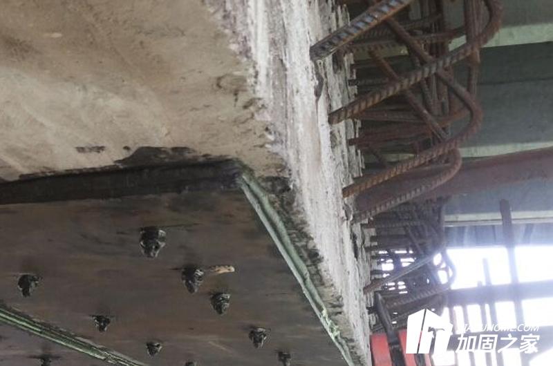 在對粘鋼膠的檢查與復(fù)驗工作中，還必須注意掌握以下幾個要點