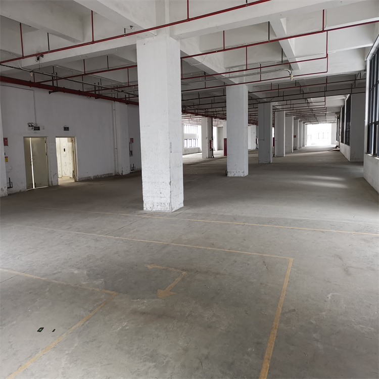 1666940350975779.jpg 750x750照片71.jpg