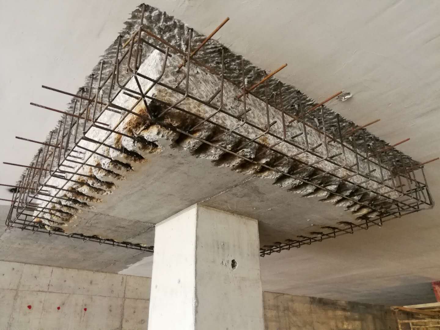 1752566921710598.jpg IMG_8622.JPG