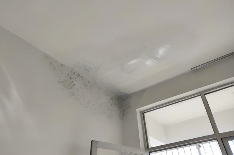 房屋漏水怎么修補(bǔ)最好