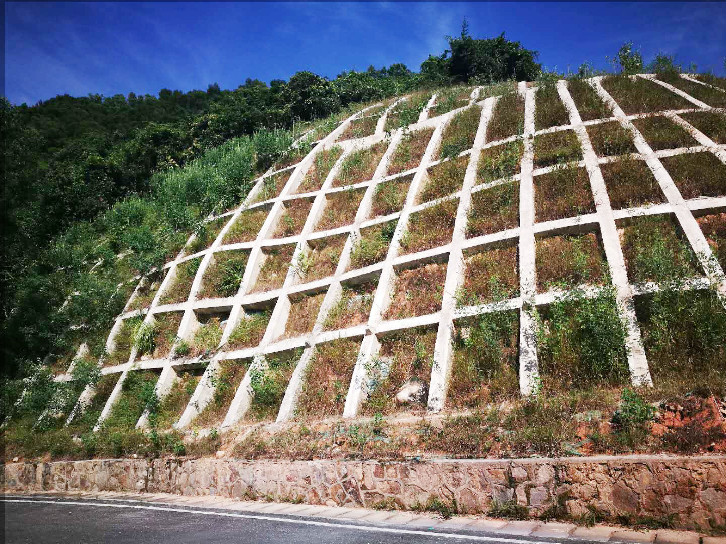 1527341256296433.jpg 微信圖片_20180526140301.jpg